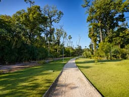 Pista de Caminhada no Bosque